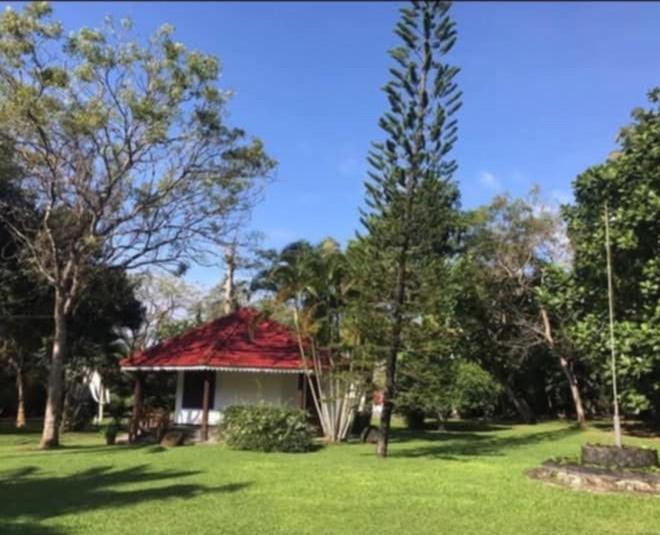 Subodinee Bungalow Weligama Buitenkant foto