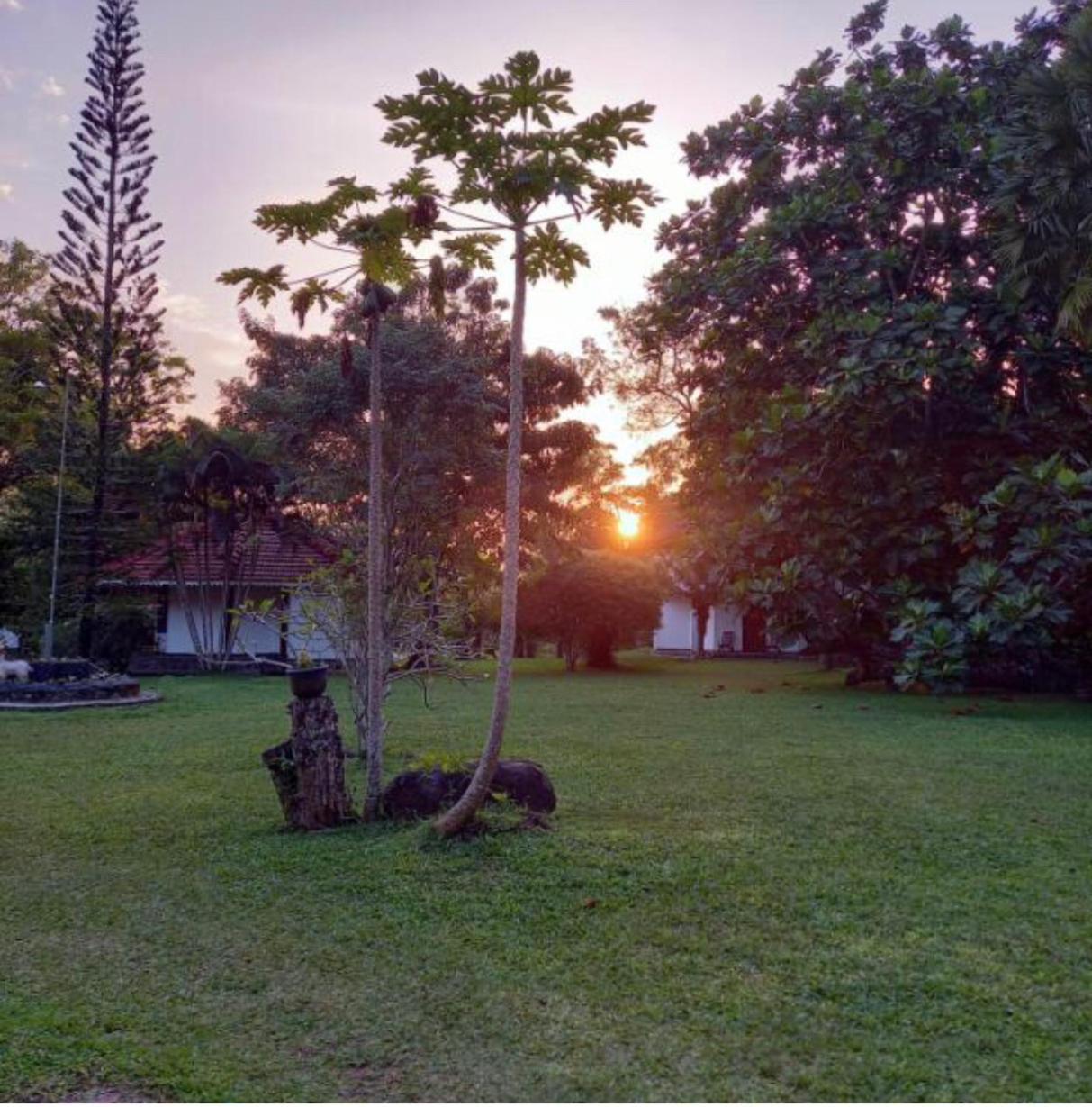 Subodinee Bungalow Weligama Buitenkant foto